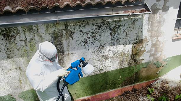 Top rated local Crawl Space Mold Remediation specialists in Verona, PA